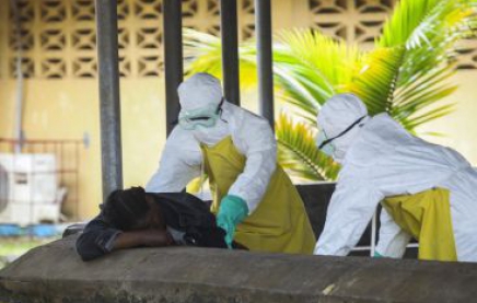 ЕС выделил более 24 млн евро на поиски вакцины против Эболы