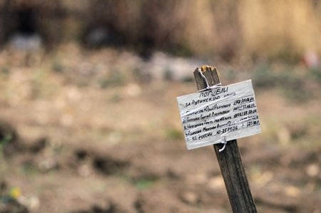 В Славянске найдена могила с тремя телами, - неофициальная информация