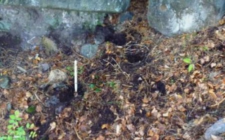 СБУ обнаружила в районе Лисичанска тайник со стрелковым оружием и боеприпасами