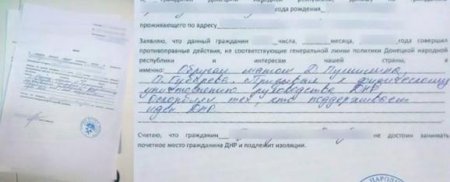 В сети показали, как выглядят доносы в «ДНР» В сети показали, как выглядят доносы в «ДНР»