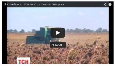 Террористы вывозят собранный в Донбассе урожай в Россию (Видео)