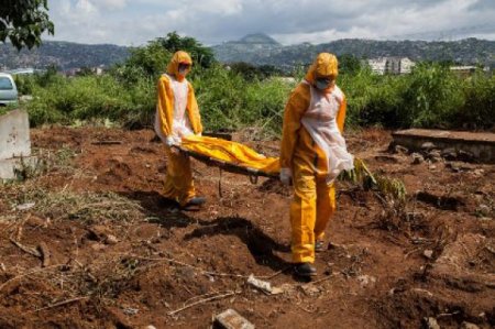 От Эболы погибло уже больше 4000 человек
