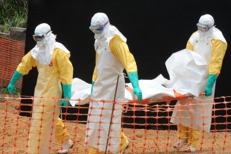 ВООЗ: к декабрю количество зараженных на Эболу может достигнуть 10 тысяч на неделю