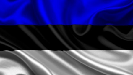 Эстония поддержала Украину благотворительной акцией