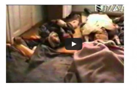 Как 15 лет назад российские войска убивали мирных жителей Чечни. Видео 18+