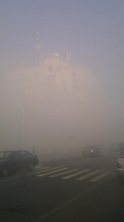 Под Киевом продолжает гореть торф Под Киевом продолжает гореть торф