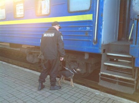 В поезде "Мариуполь-Львов" обнаружены гранаты