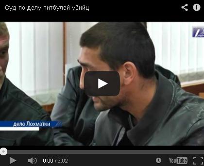 В Одессе судят владельцев питбулей В Одессе судят владельцев питбулей