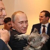 Филатов откомментировал фотосессию Путина с коалой в Австралии. "Коалу мировая закулиса подсунула явно лишайную"