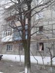 Родину Януковича бомблят. Фото Родину Януковича бомблят. Фото