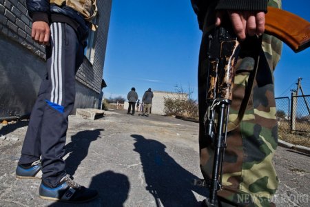 Боевики похитили 1 млн консервов и 51 тонну говядины с комбината в Донецкой области