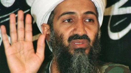 В США спорят, кто убил бин Ладена