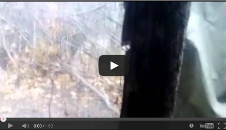 Бойцы АТО сняли на видео, как попали под минометный обстрел (Видео)