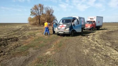 За 2 месяца волонтеры-поисковики в зоне АТО нашли 160 тел украинских бойцов
