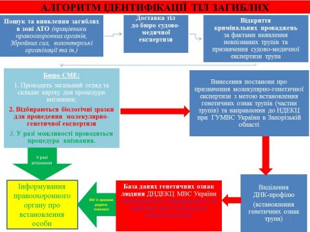 Куда подать заявление, для подачи ДНК, на опознание тела