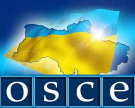 Украина предоставила ОБСЕ бронемашины для работы в зоне АТО