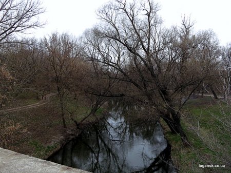 В Луганске почернела вода реки Лугань. Видео