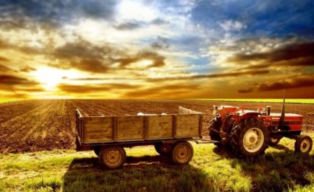 Агропромышленность Украины вышла на мировой рынок, и оказалась самой процветающей отраслью в 2014 году