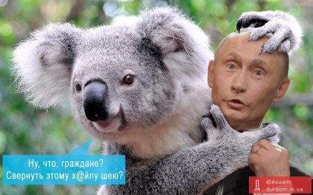 Фотожаба, Путин и Коала