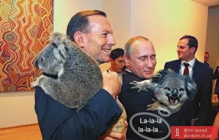 Фотожаба, Путин и Коала