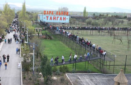 Парк львов "Тайган" в Крыму может не дотянуть до весны