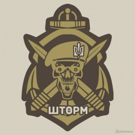 Одесский облсовет выделит батальону «Шторм» два миллиона гривен