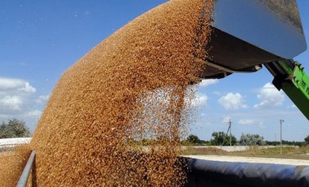 Украина: из пропасти к вершине! Украина: из пропасти к вершине!