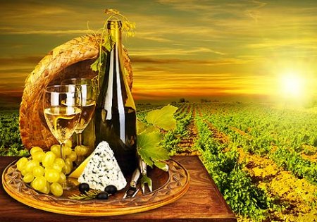 В ГД РФ предложили отомстить за "Мистраль" запретом французских вин