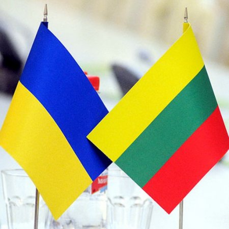 Литва готова продолжить оказывать помощь Украине, - министр обороны Литвы
