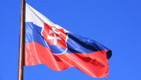 Словакия высказала готовность внедрить своих специалистов в Украинское правительство