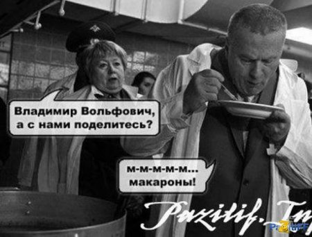 Как отличить мародеров от политиков Как отличить мародеров от политиков