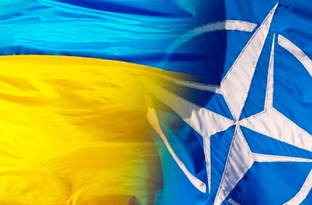Яценюк: путь Украины в НАТО лежит через реформацию законодательства
