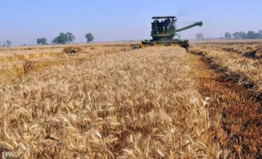 Экспортеры прекратили закупку зерна у России