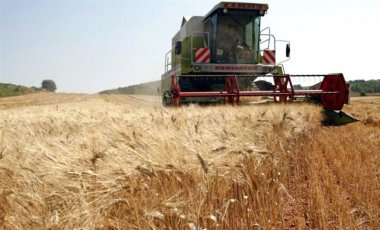 S&P снизило рейтинги четырех агрохолдингов Украины