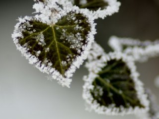 26 декабря в Украине ожидается похолодание - синоптики