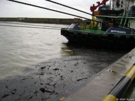 Из-за прорыва трубопровода в Черное море попало 500-700 тонн нефти - WWF России