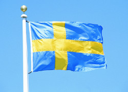Премьер Швеции отменил досрочные выборы