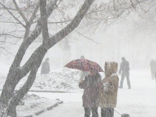 Киевлян ждет снежный и морозный понедельник