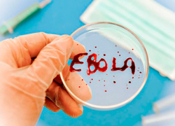 Вирус Эбола зарегистрирован в Шотландии