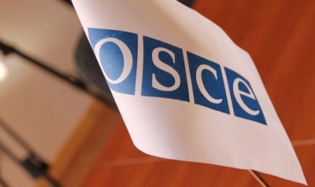 РФ согласилась продлить срок работы наблюдателей ОБСЕ на КПП "Гуково" и "Донецк"