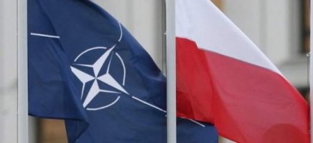 В состав подразделения быстрого реагирования НАТО войдет танковый батальон из Польши