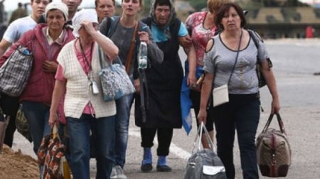 В администрации Краснодарского края заявляют, что число украинских беженцев снизилось до 39,3 тысячи человек