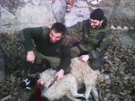 «Русский мир» в Донбассе: убийство животных и дети с оружием (Фото)