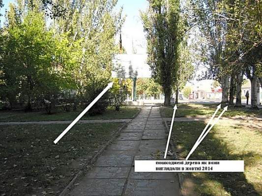 Фирму экс-кандидата в мэры Николаева уличили в самовольном спиле трех деревьев ради своего незаконного биллборда