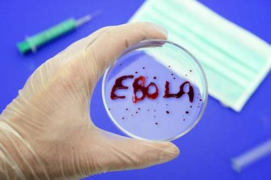 В Токио госпитализировали мужчину с симптомами лихорадки Эбола
