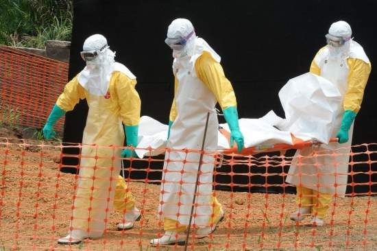 Количество инфицированных лихорадкой Эбола превысило 20 тыс. человек, - ВОЗ
