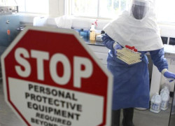ООН обещает победить Эболу в 2015 году