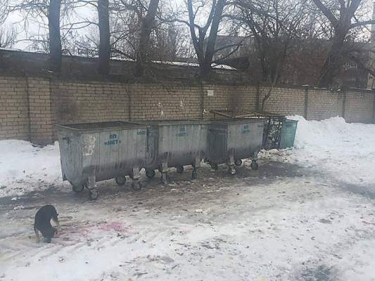 НТРЗ борется с мусором в отдаленном районе Николаева – чиновники просят завод очистить Широкую Балку