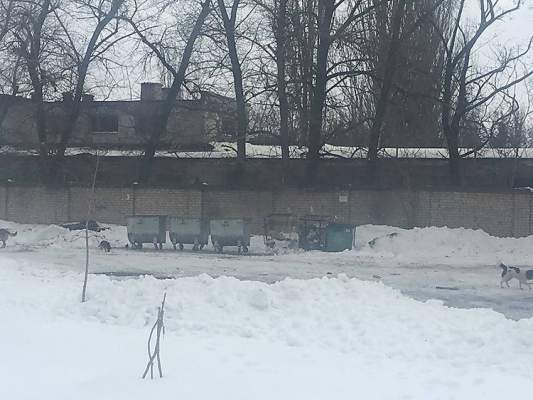 НТРЗ борется с мусором в отдаленном районе Николаева – чиновники просят завод очистить Широкую Балку