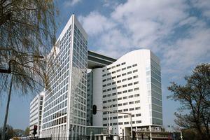Парламент признал юрисдикцию Гаагского трибунала